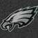 eagles - the philadelphia EAGLES