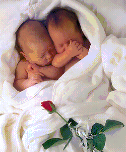 Beautiful Twins - Awwwww! Aren't they just darling?