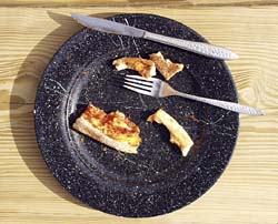 left-over food on plate - visual aid for discussion