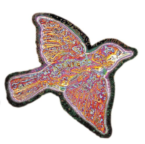 Widespread Panic - Cover of Album Til the Medicine Takes