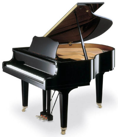 piano - i love playing the piano