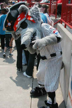C-Wolf - This is the Erie Seawolves Mascot, C-Wolf. He's present at all the Double A ball games played at home. Isn't he a cutie?