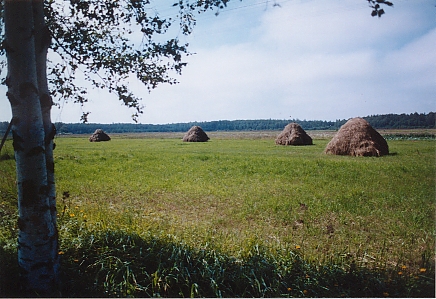 Haystacks, Latvia - Lavian haystacks