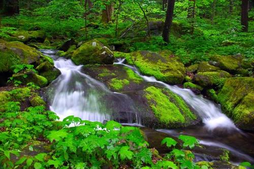 Tennessee - Beautiful Tennessee...