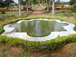 Palm trees, fountain and park - Photographed at Mysore, India