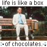 Forest Gump - Forest