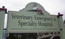 Animal Hospital - works at an animal emergency hospital