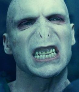 Dark Lord - Lord Voldermort