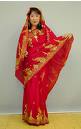 Sari is awesome - This lady look awesome
