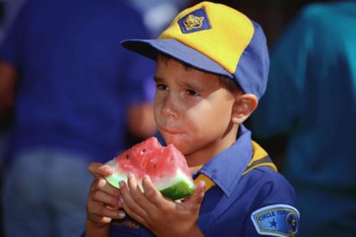 Eating Watermelon - This photo of a small boy eating watermelon. The watermelon has a good red color.