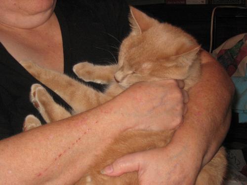 Ping, the 'mighty hunter' NOT - This is the boy that wanted to play with the dead body!