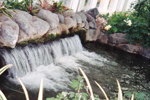 Spring of Life by cacc - Spring of life by cacc  Just uploading the not so good photos of cacc