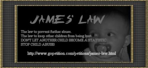 Baby James Law - Our banner for Baby James Law; a law to keep children out of their abusers arms