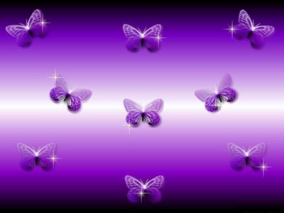 Purple butterflies - purple butterflies