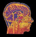 psychology - science of psychology image