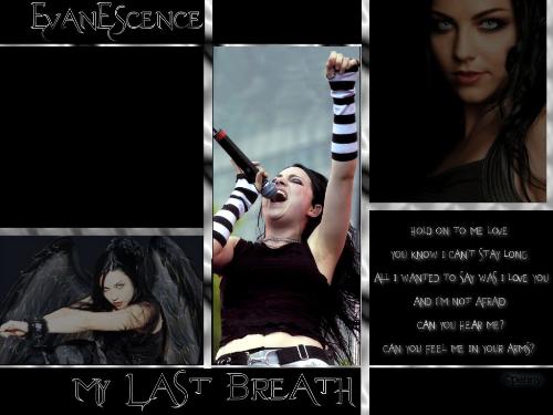 Amy Lee wallpaper - A wallpaper put together of Amy Lee from the band Evanescence.