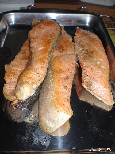Grilled Salmon - Slices of grilled salmon fish i did a few months ago. Sprinkled with some spices like black pepper, salt and little bit of nutmeg.