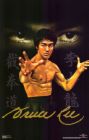 Bruce lee - kungfu fighter