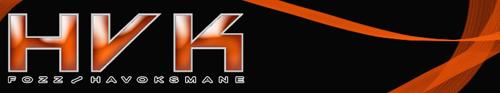 hvk banner - the havoksmane logo on a banner
