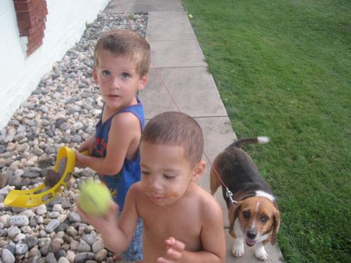 2 of my grandsons - This is a picture from a family get together of 2 of my grandsons and  Brownie Nicole. They are a handful together but we have a lot of fun anyway.