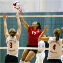 volleyball - bump,set,spike,kill,WAHOO!
