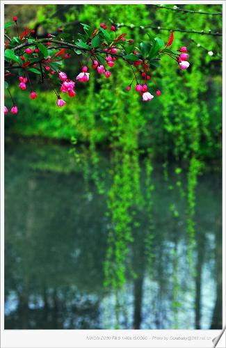 travelling view - Xihu lake ,hangzhou China