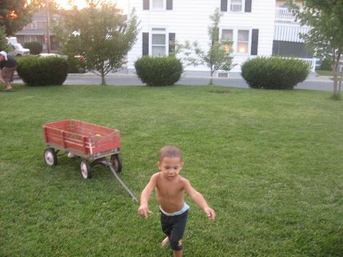 my grandson Kobe - This is a picture of Kobe playing at a family get together. He is 1 year old in this picture.