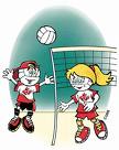 volleyball - volleyball volleyball