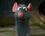 the movie ratatouille - Movie called ratatouille