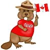 canada - canadian beaver with flag