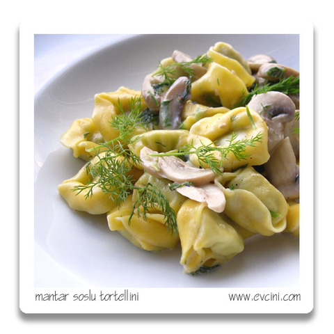 tortellini - tortellinitortellinitortellinitortellinitortellinitortellinitortellinitortellinitortellinitortellinitortellinitortellinitortellinitortellinitortellinitortellinitortellinitortellinitortellinitortellinitortellini