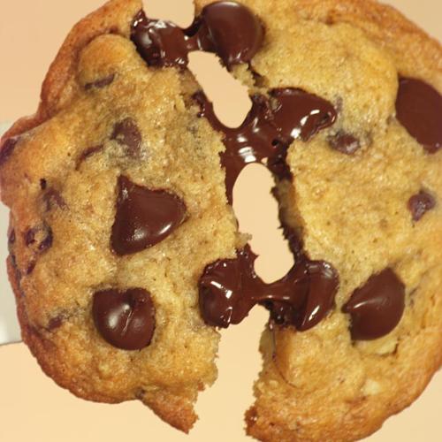 Chocolate chip cookie - Chocolate chip cookie with melting chocolate chips