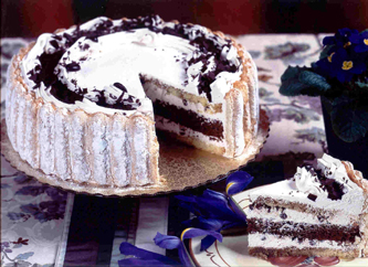 Whole cake of Tiramisu - Whole cake of Tiramisu with piece on plate