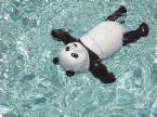 Swimming - swimming panda