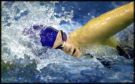 Swimming - swimming