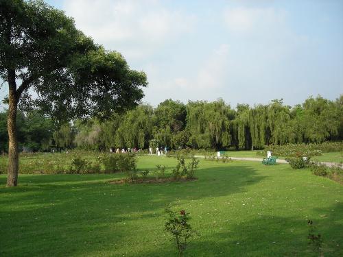 Rose garden - This is photo for Rose garden in Chandigarh.It is a beautiful garden,but the rose is sear when i get to here On july