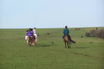 A Group Riding On The South Downs - A horseriding school group from Chestnuts, riding on the South Downs.