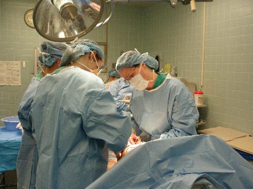 surgery - doctors in surgery surgery - doctors in surgery