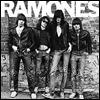 the Ramones - the Ramones icon