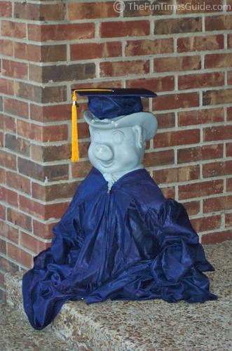 Graduate High School - Pig in purple cap and gown for graduation