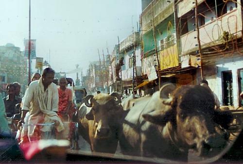 Traffic on Indian road - An example of the traffic you might encounter on Indian roads!