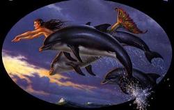 Swim with Dolphin - This is what I would love to do one Day just be swiming between 2 Dolphins in a nice blue Sea