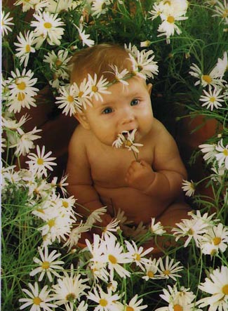 greetings card - The world is full of beauty when your heart is full of love. So start & end your day with love & smile in your heart. Have a peaceful day.