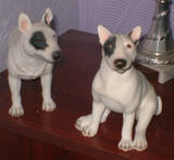 Bull Terriers - Bull Terriers Are So Cute! I Love Them! &hearts;