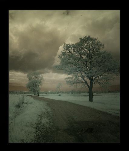 alone - this is example of lonyness
