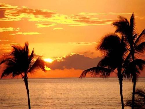 Experience a Sunset, Island Holiday - Experience a sunset, Island holiday
