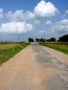 Which path to take? - The road of life
