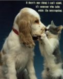 best friend - Its not easy and find trustee friend, so if you think you found your best, real friend, Tresure him or her.... and be lucky for have him or her!