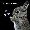 rabbit - rabbit, bunny, hug, cute