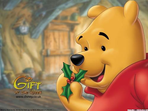 winnie  - a lovely bear
